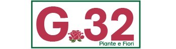 G32 Piante e Fiori